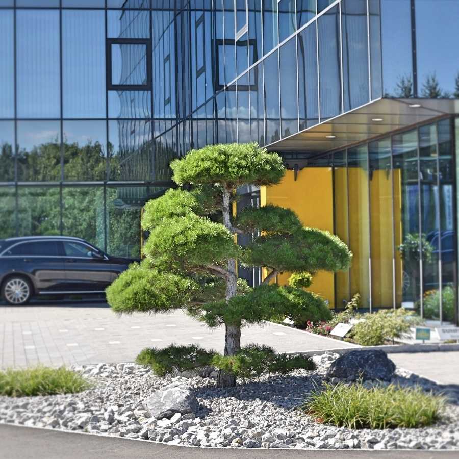 Wir begr�nen Firmen.